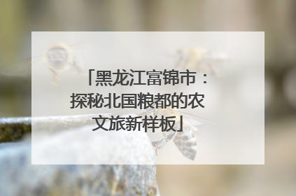 黑龙江富锦市：探秘北国粮都的农文旅新样板