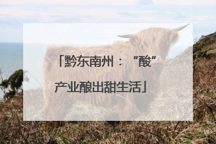 黔东南州：“酸”产业酿出甜生活