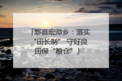 黟县宏潭乡：落实“田长制” 守好良田保“粮仓”