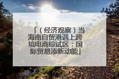 （经济观察）当海南自贸港遇上跨境电商综试区：国际贸易添新动能