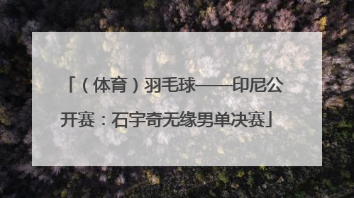 （体育）羽毛球——印尼公开赛：石宇奇无缘男单决赛