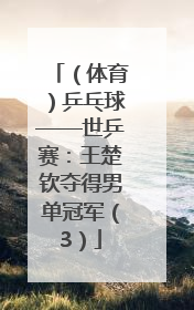 （体育）乒乓球——世乒赛：王楚钦夺得男单冠军（3）