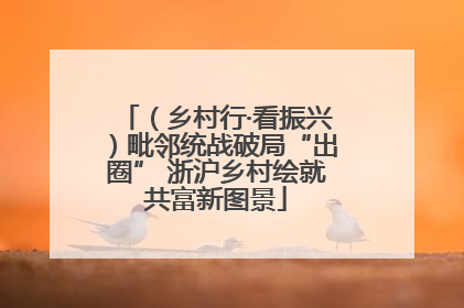 （乡村行·看振兴）毗邻统战破局“出圈” 浙沪乡村绘就共富新图景