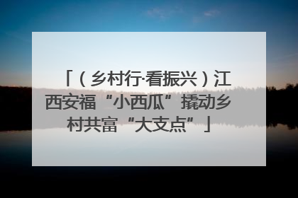 （乡村行·看振兴）江西安福“小西瓜”撬动乡村共富“大支点”