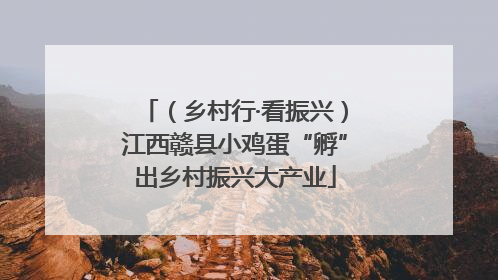 （乡村行·看振兴）江西赣县小鸡蛋“孵”出乡村振兴大产业
