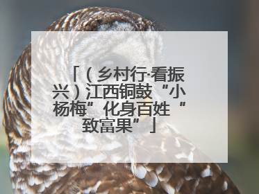 （乡村行·看振兴）江西铜鼓“小杨梅”化身百姓“致富果”