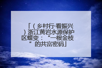 （乡村行·看振兴）浙江黄岩水源保护区蝶变：“一根金枝”的共富密码