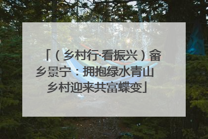 （乡村行·看振兴）畲乡景宁：拥抱绿水青山 乡村迎来共富蝶变