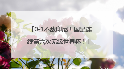 0-1不敌印尼！国足连续第六次无缘世界杯！
