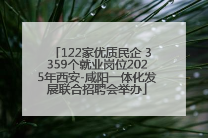 122家优质民企 3359个就业岗位2025年西安-咸阳一体化发展联合招聘会举办