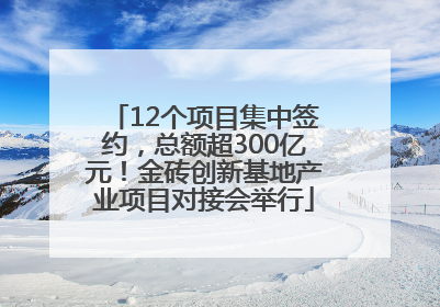 12个项目集中签约，总额超300亿元！金砖创新基地产业项目对接会举行