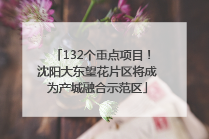 132个重点项目！沈阳大东望花片区将成为产城融合示范区