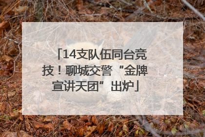 14支队伍同台竞技！聊城交警“金牌宣讲天团”出炉