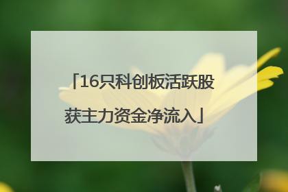 16只科创板活跃股获主力资金净流入