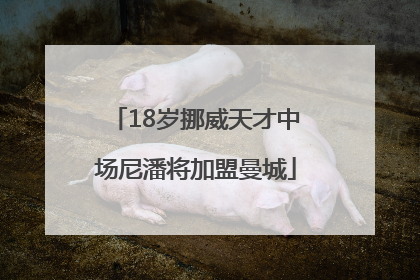 18岁挪威天才中场尼潘将加盟曼城