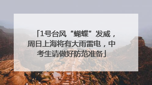 1号台风“蝴蝶”发威，周日上海将有大雨雷电，中考生请做好防范准备