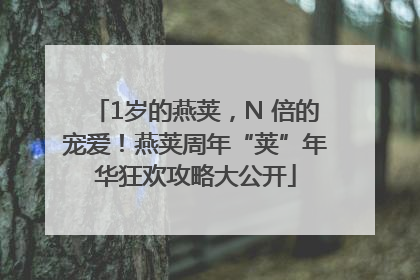 1岁的燕荚，N 倍的宠爱！燕荚周年“荚”年华狂欢攻略大公开
