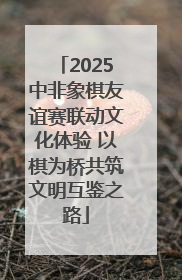 2025中非象棋友谊赛联动文化体验 以棋为桥共筑文明互鉴之路