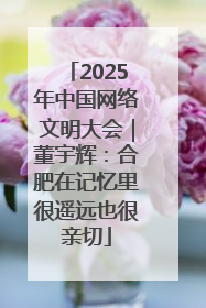 2025年中国网络文明大会｜董宇辉：合肥在记忆里很遥远也很亲切