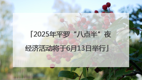 2025年平罗“八点半”夜经济活动将于6月13日举行