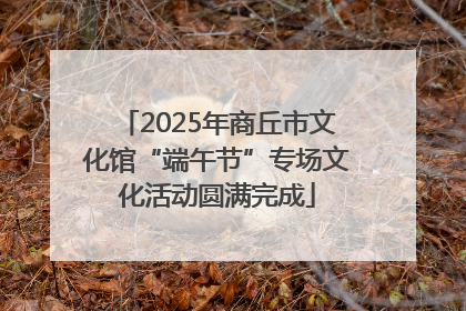 2025年商丘市文化馆“端午节”专场文化活动圆满完成