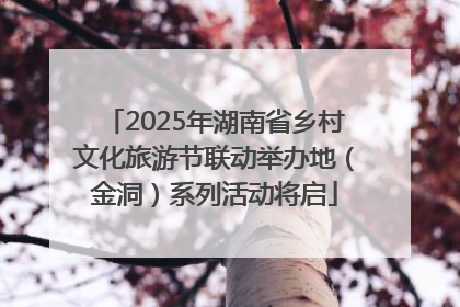 2025年湖南省乡村文化旅游节联动举办地（金洞）系列活动将启