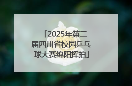 2025年第二届四川省校园乒乓球大赛绵阳挥拍