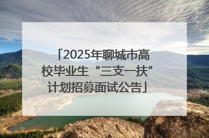 2025年聊城市高校毕业生“三支一扶”计划招募面试公告