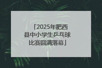 2025年肥西县中小学生乒乓球比赛圆满落幕