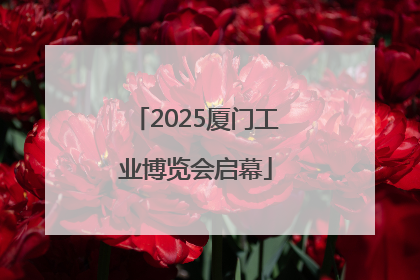 2025厦门工业博览会启幕