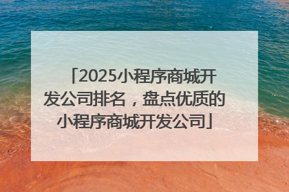 2025小程序商城开发公司排名，盘点优质的小程序商城开发公司