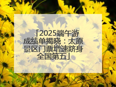 2025端午游成绩单揭晓：太原景区门票增速跻身全国第五