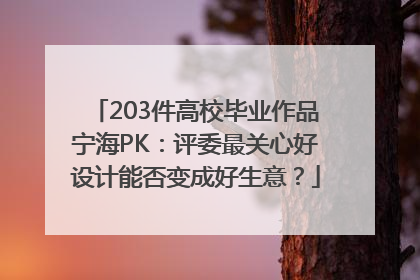 203件高校毕业作品宁海PK：评委最关心好设计能否变成好生意？