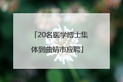 20名医学博士集体到曲靖市应聘