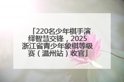 220名少年棋手演绎智慧交锋，2025浙江省青少年象棋等级赛（温州站）收官
