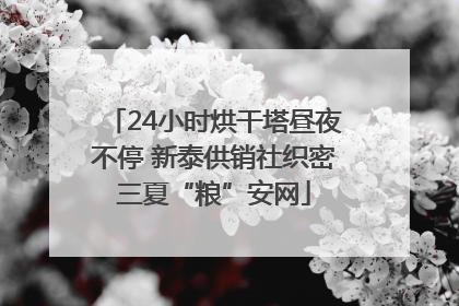 24小时烘干塔昼夜不停 新泰供销社织密三夏“粮”安网