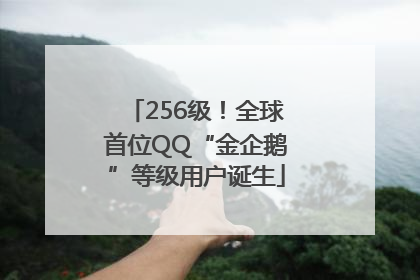 256级！全球首位QQ“金企鹅”等级用户诞生
