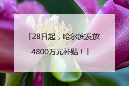 28日起，哈尔滨发放4800万元补贴！
