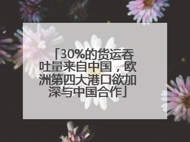 30%的货运吞吐量来自中国，欧洲第四大港口欲加深与中国合作