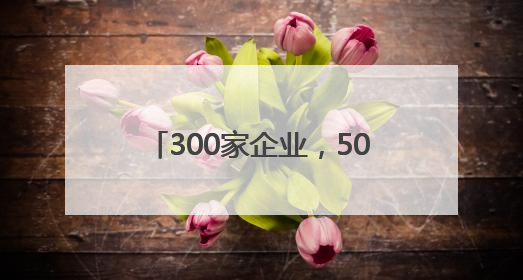 300家企业，500个展位 2025郑州跨境电商大会开幕