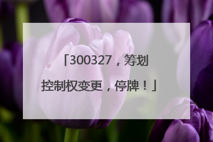 300327，筹划控制权变更，停牌！