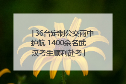 36台定制公交雨中护航 1400余名武汉考生顺利赴考