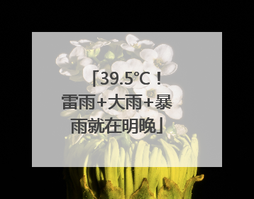 39.5℃！雷雨+大雨+暴雨就在明晚