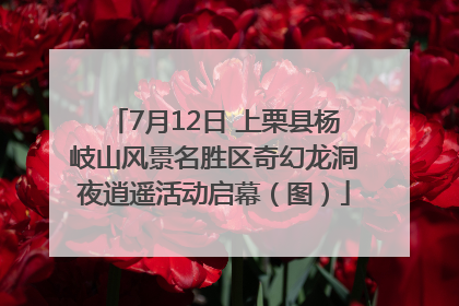 7月12日 上栗县杨岐山风景名胜区奇幻龙洞夜逍遥活动启幕（图）