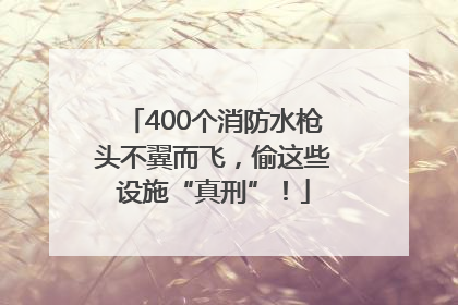 400个消防水枪头不翼而飞，偷这些设施“真刑”！