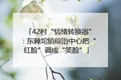 42村“情绪转换器”：东棘坨镇综治中心把“红脸”调成“笑脸”
