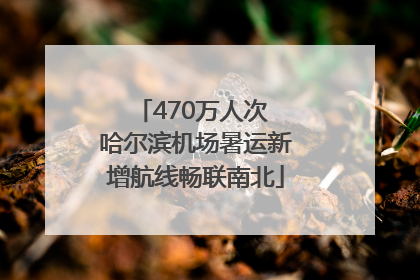 470万人次 哈尔滨机场暑运新增航线畅联南北