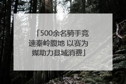 500余名骑手竞速秦岭腹地 以赛为媒助力县域消费