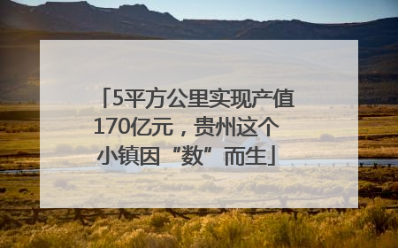 5平方公里实现产值170亿元，贵州这个小镇因“数”而生