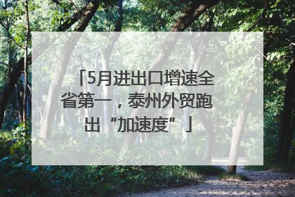 5月进出口增速全省第一，泰州外贸跑出“加速度”